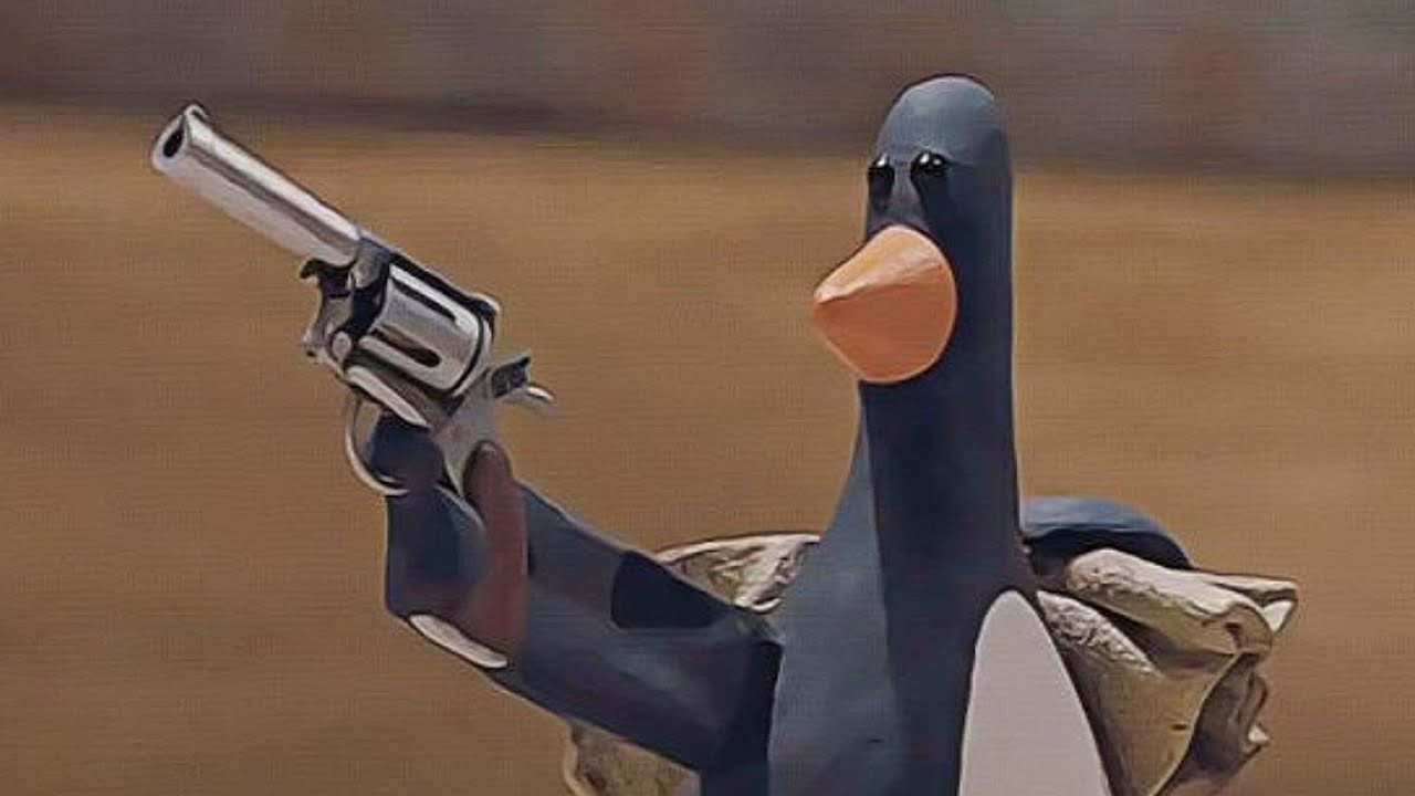 Usuario